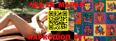 гашик Кинель